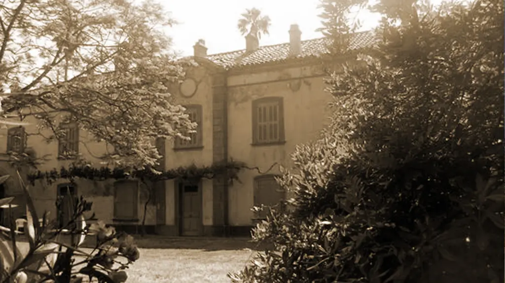 Château de la Moutte : Un Voyage Romantique dans l'Héritage de Saint-Tropez