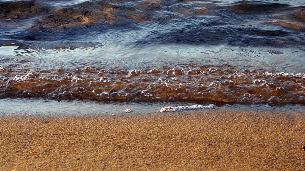 Plage des Canoubiers : Un Voyage dans l'Héritage Mystique de Saint-Tropez