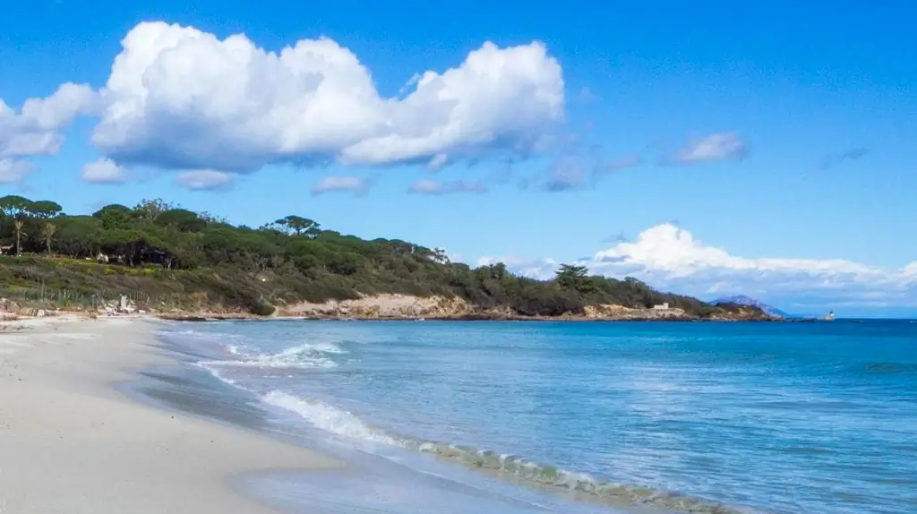 La Plage des Salins à Saint-Tropez, le Charme Intemporel